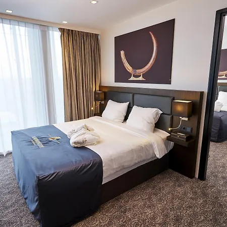 מלון Radisson & Amsterdam South אמסטלבין