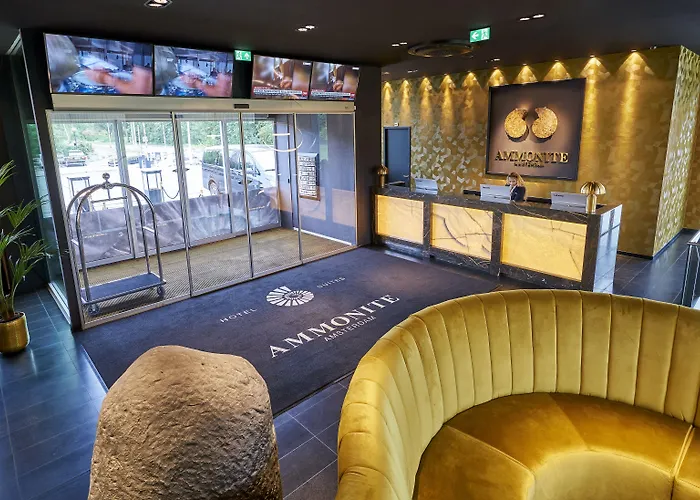 Отель Radisson & Amsterdam South