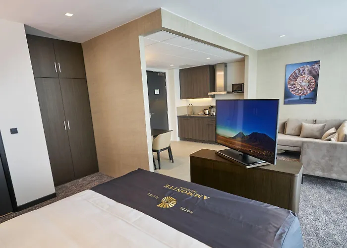 Radisson & Amsterdam South Hotel 4*